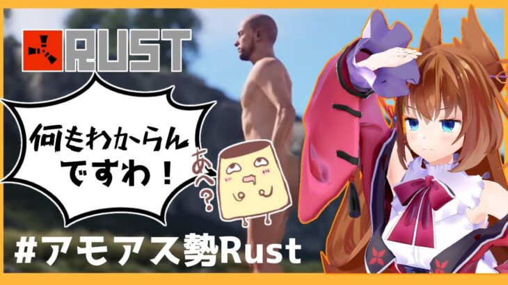 なんもわからんお嬢様のRUSTですわ！#アモアス勢Rust