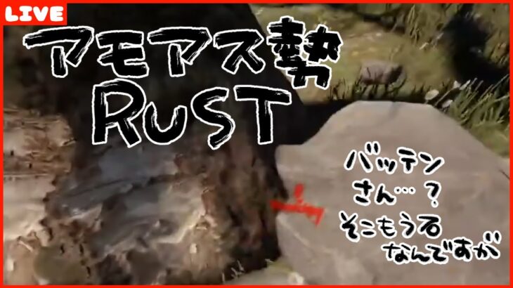 #アモアス勢Rust