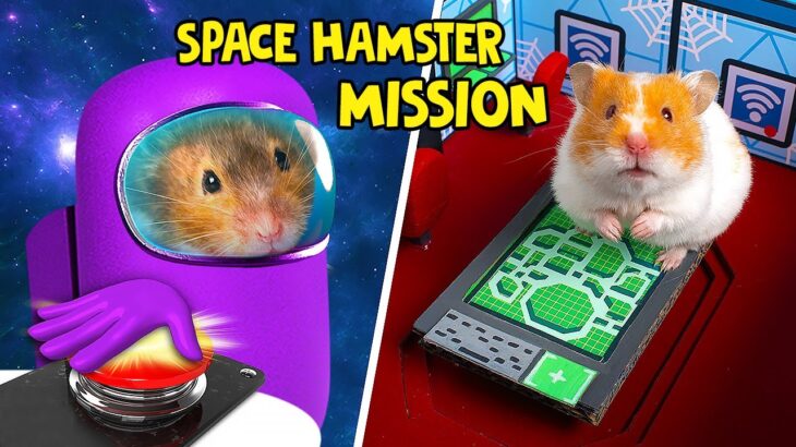 ハムスターがアマングアスの宇宙ステーションを大冒険！
