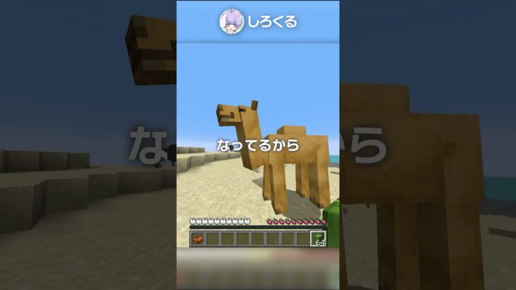 【1.20】最新の神アプデで追加された情報まとめ！パート1【マイクラ豆知識 解説 裏技】