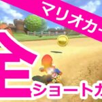 マリオカート8【全ショートカット集】Mario Kart8 shortcuts