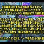 【マリオカート８・攻略】最終的な高難度ＮＩＳＣランキング～高難度ＴＯＰ８をＴＡで復習した王者！