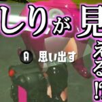 【スプラトゥーン2】オクトの中央駅でハチの半ケツが見えると聞いてシブシブ調査しました【うわさちょーさだん】