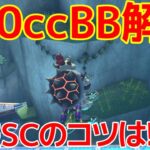 【200ccTA解説】世界7位による大ジャンプSCのコツはズバリ！！200ccビッグブルーTA解説Section2編【マリオカート８ デラックス】