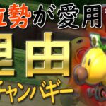 【知ってる？】上位勢が”ハナチャンバギー”を選ぶ理由 #49【マリオカート8デラックス】