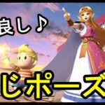 【スマブラSP】勝利画面で同じポーズのキャラ【チーム勝利】