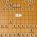 将棋・５五将棋・チェス｜最速クリア【世界のアソビ大全51】