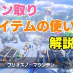 【TA＆VS解説】あなたのためのワリオスノーマウンテン【マリオカート8DX】