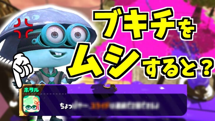 【スプラトゥーン2】ブキチをムシするとホタルが隠しゼリフを言う！？超期間限定のレアセリフ！