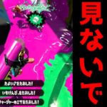 【閲覧注意】この動画を見るとヒーローローラーが嫌いになります。【スプラトゥーン2】