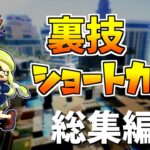 【スプラトゥーン2】【裏技・ステージ破壊】【小ネタ】【ショートカット集】【splatoon 2】【ホコオススメルート】