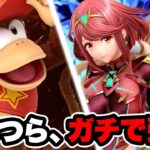 新しいスマブラSPの”環境キャラ”が判明しました【スマブラSP】