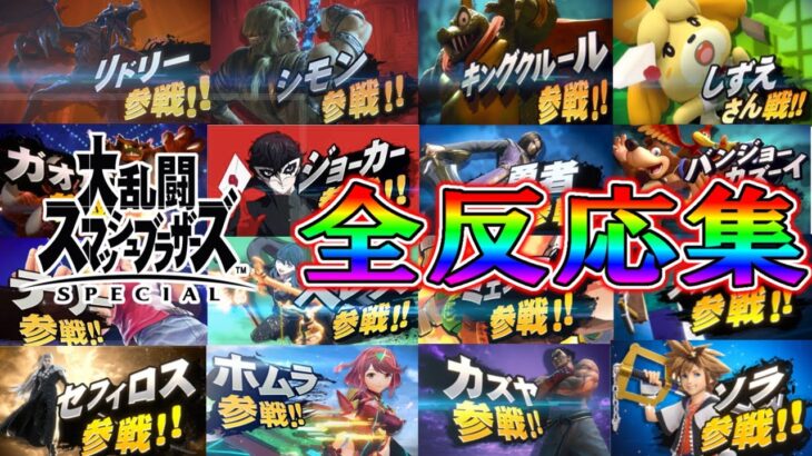 【全員参戦～ソラまで】発狂！感動！号泣！スマブラSP3年分のカミヤマ全反応まとめ！！【日本人の反応】