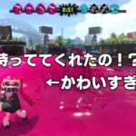 スプラトゥーン2 かわいいイカちゃん詰め