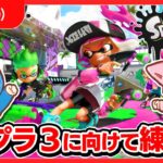 🔴はじめてのスプラトゥーン配信！！🎮✨ちろぴのライブ配信🐶🐱🌼【Splatoon】