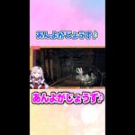 壱百満天原サロメ「あんよがじょうず♪」【にじさんじ切り抜き】#shorts