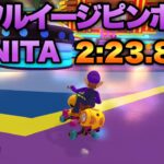 DSワルイージピンボール 悪花NITA 2:23.875【マリオカート8DX】