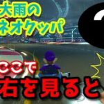 【Switch】マリオカート8 デラックス　小ネタ集７