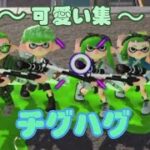 スプラトゥーン2可愛い集！｢チグハグ｣【スプラトゥーン2】#スプラトゥーン2