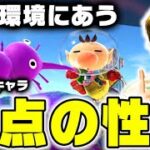 うんポイと破壊の両方の性質を合わせ持つ強キャラ！？【スマブラSP】