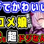 【サロメ】愛犬までドジな壱百満天原サロメ ！ドジなシーンまとめ【にじさんじ 壱百満天原サロメ 切り抜き】