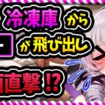 実家の冷凍庫から●●が降ってきて私に直撃しましたわーっ!!!【壱百満天原サロメ 切り抜き にじさんじ】