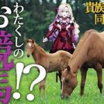 【お競馬】わ、わたくしのレース！？【ですわ!?】