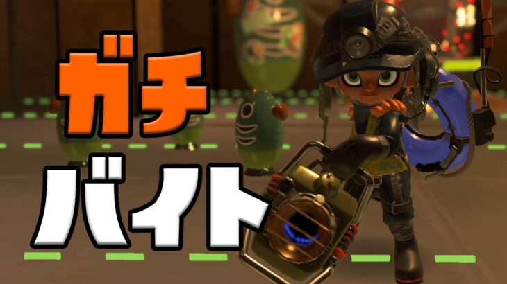 【スプラトゥーン3】エクスは強い夕方サーモンラン #19【Splatoon3】【ぽんすけ】