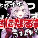 サロメ嬢のカワボと美声と時々絶叫ボイスまとめ【にじさんじ/切り抜き/壱百萬天原サロメ】