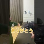 ハイチュウと消しゴム入れ替えて友達に食べさせてみた#shorts