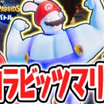 ラビッツマリオが筋肉ムキムキに!?吹雪を止めるためにボスを倒せ!!最速実況Part14【マリオ＋ラビッツ ギャラクシーバトル】