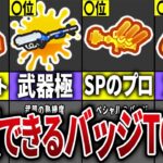 【視聴者に聞いた！】仲間に来ると安心するバッジランキングTOP8【スプラトゥーン3】