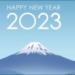 今年の正月もやっぱりアレでしょう