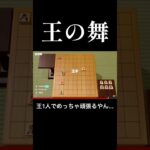 将棋初心者(俺)、王手を連発するもその後どうすれば良いのか分からないw   世界のアソビ大全51