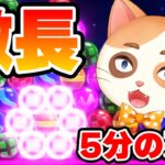 1戦5分！？ピンチになるほど強くなるやばいとの激闘！！【6ボールパズル】