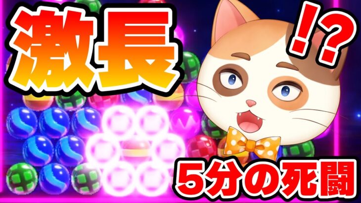 1戦5分！？ピンチになるほど強くなるやばいとの激闘！！【6ボールパズル】