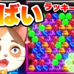 見ながら勉強できるゲーム実況をしてみたら相手が強すぎて猫の手も借りたくなりました【6ボールパズル】