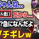 久しぶりのコラボでも容赦なく殴り合うメルマリw【ホロライブ切り抜き/宝鐘マリン/夜空メル】