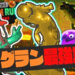 新オカシラは超巨大ドラゴン!?金のオキモノ&バッジを目指してビッグラン!!最強バトル実況【スプラトゥーン3】