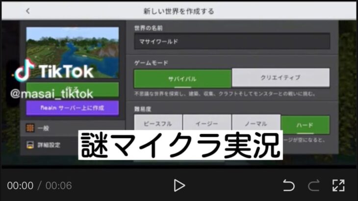 謎マイクラ実況