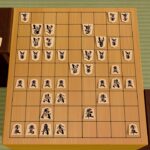 1人でヤりながら将棋したら熱い試合が撮れました【世界のアソビ大全51】