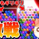 強者との激戦！これがギリギリの戦いで勝つためのテクニックだ！！【6ボールパズル】