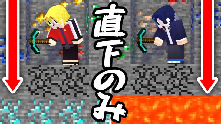 直下掘りだけで全レア鉱石を見つけられなかった人が罰ゲームです【マインクラフト】