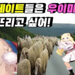 마마! 다굴에는 장사가 없는 거양! 【홀로라이브-우이마마,와타메】