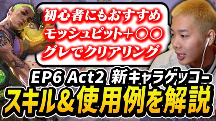 【徹底解説】新キャラ！ゲッコーの使い方を元プロがお教えします。これを見てランクを上げてください。【VALORANT】