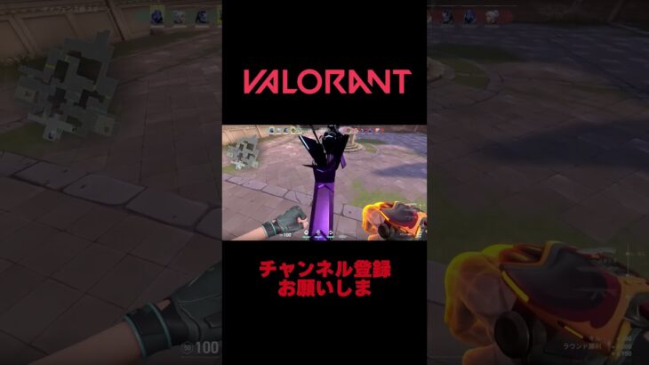 【VALORANT】このスキンなに？