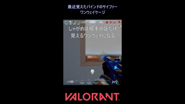 最近覚えたバインドのサイファーワンウェイケージ【VALORANT】#VALORANT #ヴァロラント #shorts