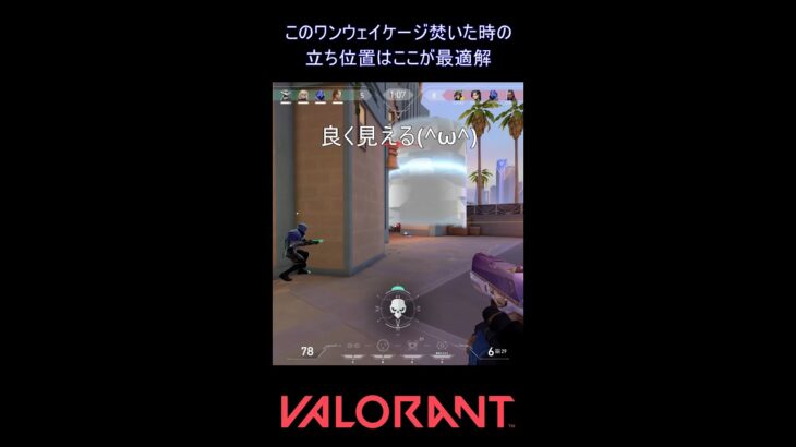 このワンウェイケージ焚いた時の立ち位置はここが最適解【VALORANT】#VALORANT #ヴァロラント #shorts