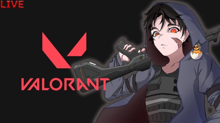 【LIVE】ヨル専Vの年末ヴァロ大会🐣【 #VALORANT / #ヴァロラント 】