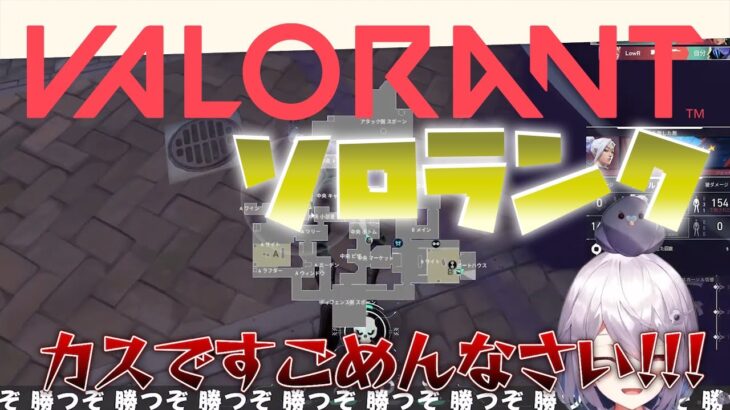 〖うるせぇVtuberのうるせぇVALORANT〗シルバーからゴールドに行きたい…！！〖#なまのあずき / バロラント / VALORANT / ヴァロラント 〗